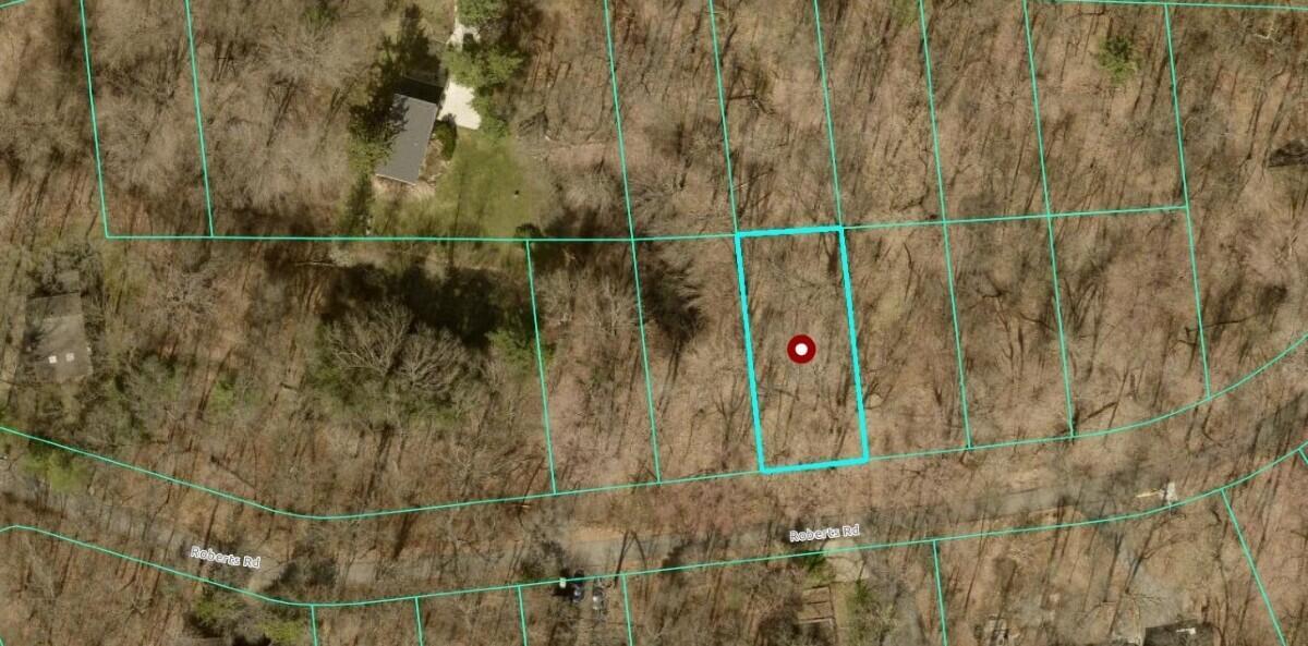 Image 1 Image 1