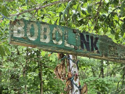 1514, 1522,1526 Bobolink Road