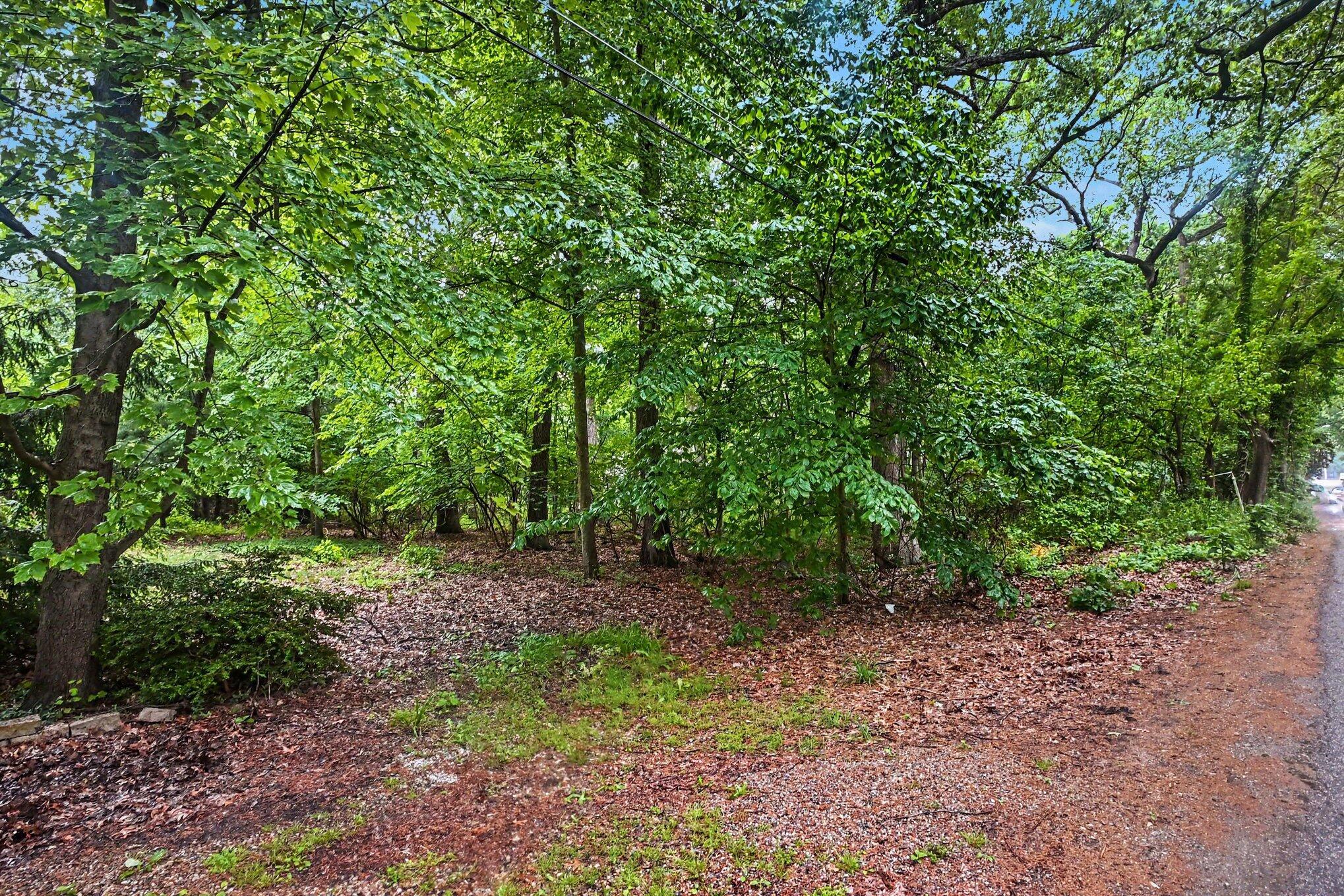 Image 1 Image 1