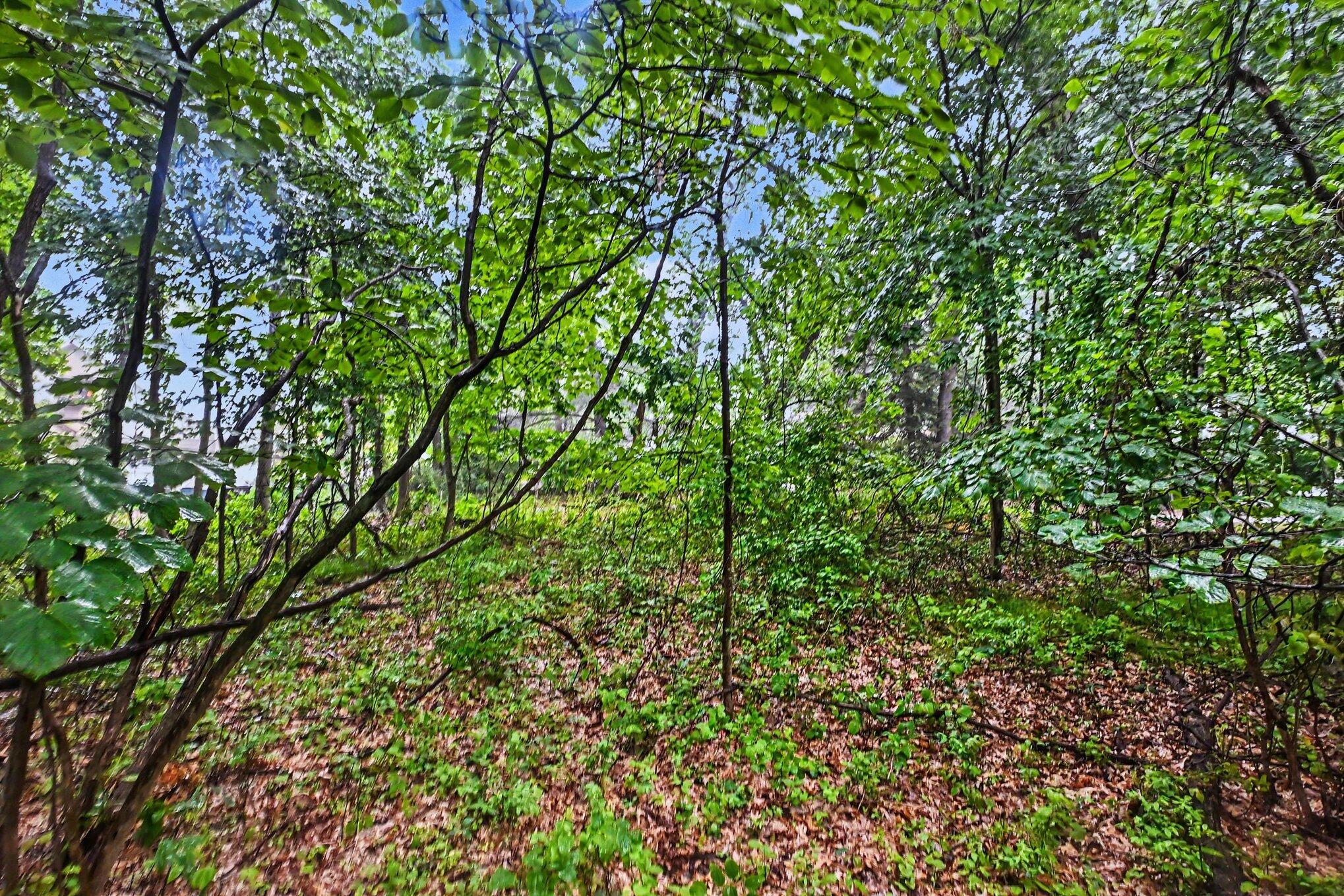 Image 3 Image 3