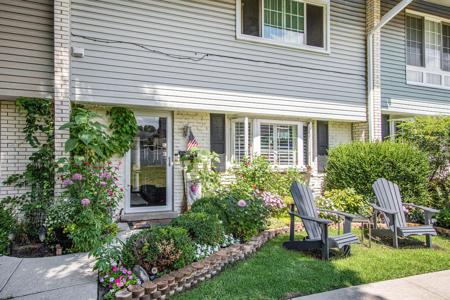 203 Birch Tree Lane