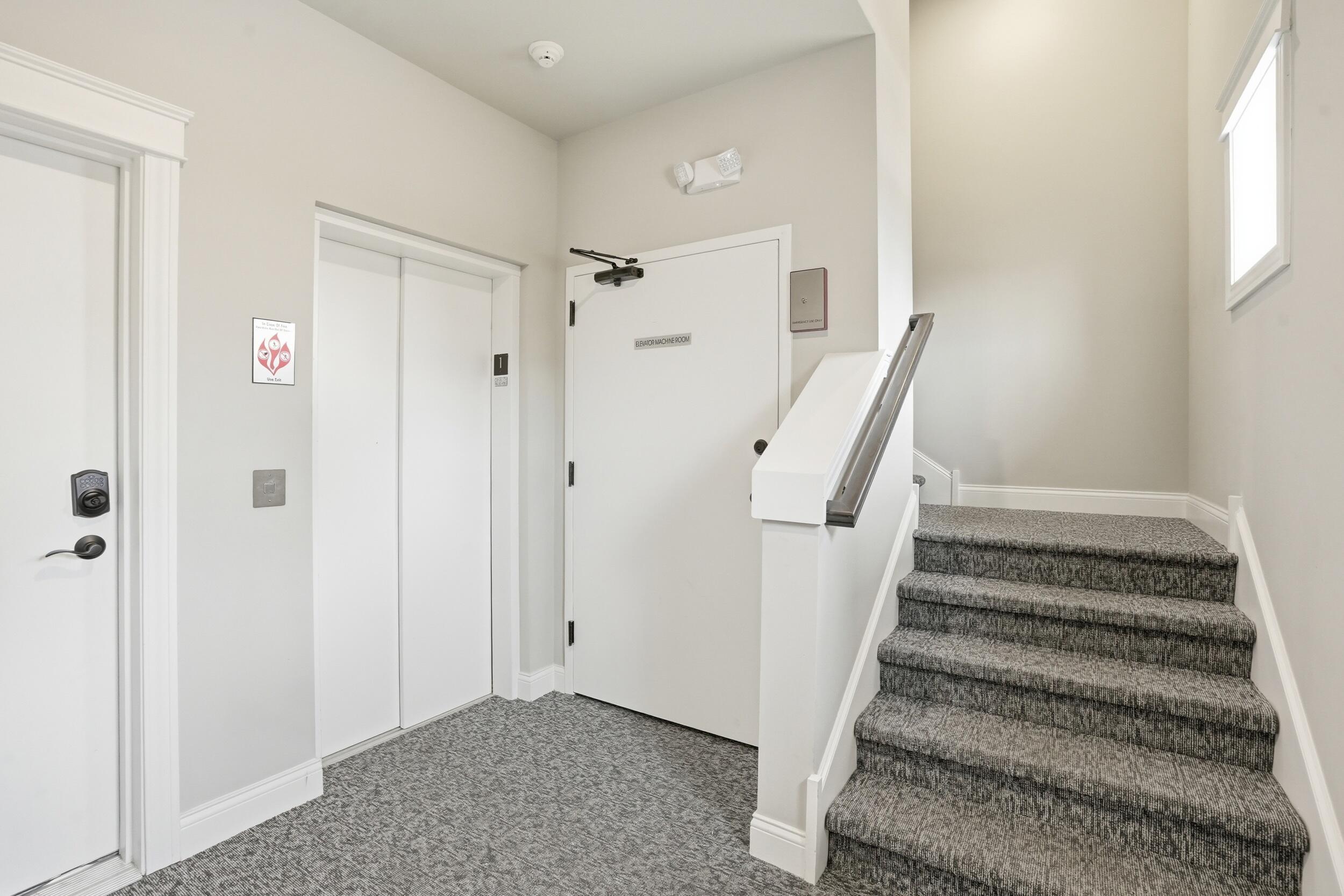 Image 4 Image 4