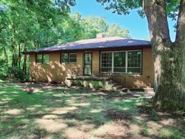 203 Belle Road