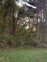 141 Bote Drive