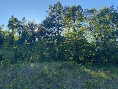0 Lake Shore Co Road