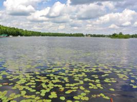 Lot 6 SQUAW LAKE RD W