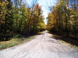 off SHEEP RANCH RD