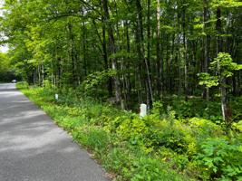 ON SOUTH SHORE RD