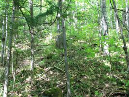 Lot 14 ALPINE DR