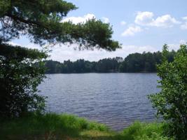 Lot 1 TIMBER LODGE RD