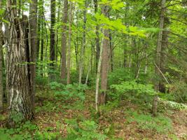 BLK 5 CHEQUAMEGON DR