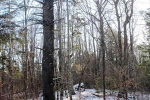Lot 4 MANY ROCK RD