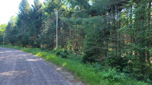 ON TOMAHAWK DR