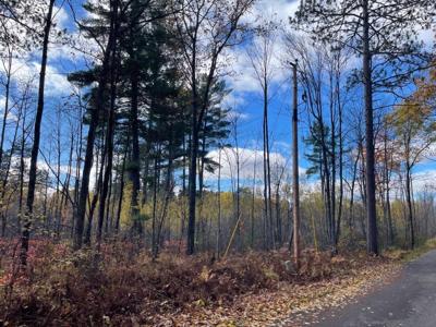 15.65 AC BELLWOOD DR
