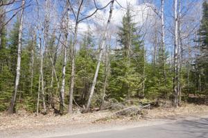 Parcel A FOREST LN