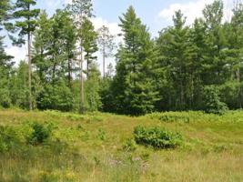 Lot 1 JOSHUA CT