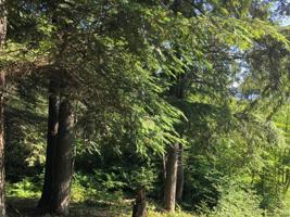 ON PALMER LAKE RD