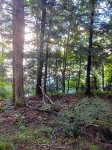 20 Acres GOLF COURSE DR