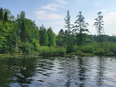 19308 MAMIE LAKE RD W