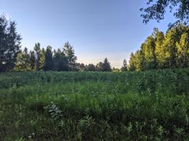 Lot22&23 PENINSULA DR