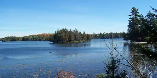 ON BOY SCOUT ISLAND RD