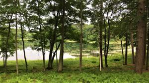 Lot 3 RIVERS EDGE DR