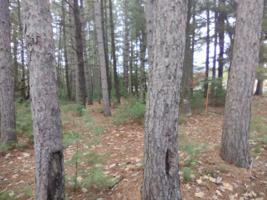 ON TRAILS END RD