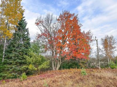 1.36a DARLAKS BAY LN