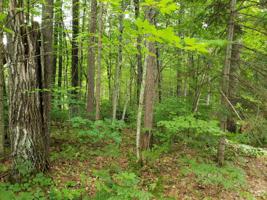 BLK 5 CHEQUAMEGON DR