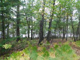 Lot 46 ROSS RD