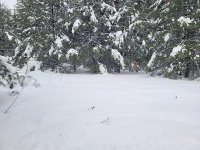 Lot 16 TIMBERING HAVEN DR