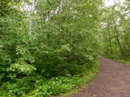 Lot 4 NORTH SHORE RD