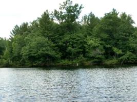 ON MANOR LOOP