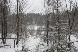 ON LEMMA CREEK RD
