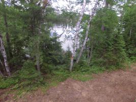 N10555 WEST ISLE OF PINES DR