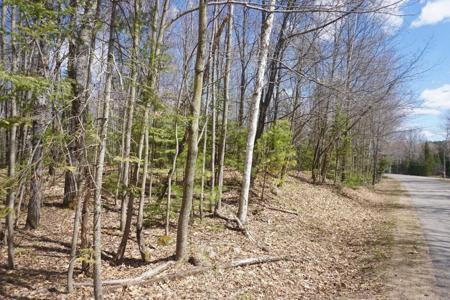 12 AC FOREST LN