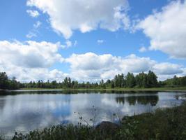 Lot 4 MOOSE CREEK LN