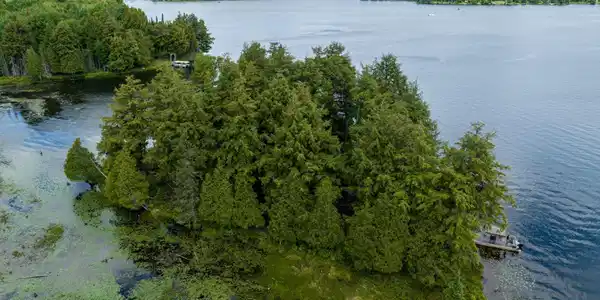 Off BOY SCOUT ISLAND RD