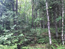 Lot 7 SIMPSON RD