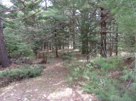 Lot 28 LULLABY LN E