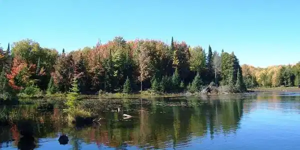 ON BOY SCOUT ISLAND RD