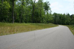 Lot 17 WHITETAIL CROSSING RD