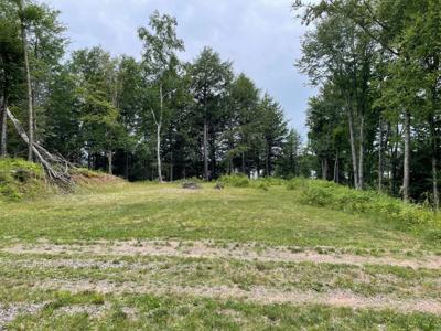 Lot 4 CISCO LAKE RD E