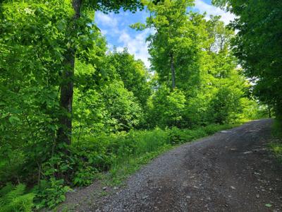 Lot 14 ALPINE SHORES DR
