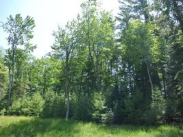 Lot 27 AWASSA LN