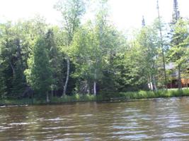 Lot 8 MCKINLEY BLV