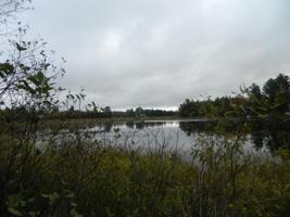 Along W LAKE RD