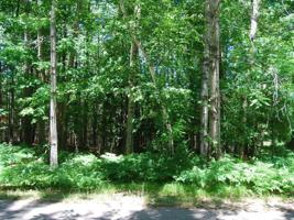 Lot 8 TIMBER LODGE RD