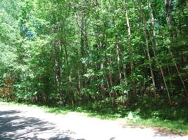 Lot 10 TIMBER LODGE RD