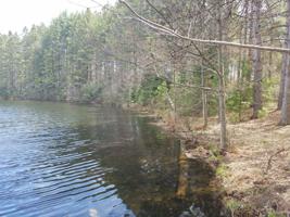 ON PINE SHORE LN